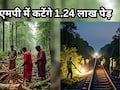 MP में कटेंगे 1.24 लाख पेड़, इंदौर-मुंबई के बीच बिछाई जाएगी रेल लाइन; पर्यावरणविदों ने चेताया 