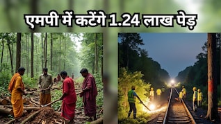 MP में कटेंगे 1.24 लाख पेड़, इंदौर-मुंबई के बीच बिछाई जाएगी रेल लाइन; पर्यावरणविदों ने चेताया