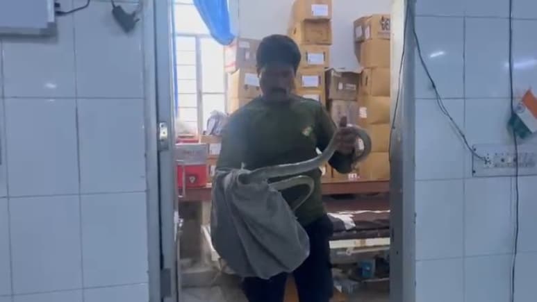 कोटा अस्पताल के ICU में घुसा 5 फिट लंबा सांप, मरीजों में मच गई अफरा-तफरी