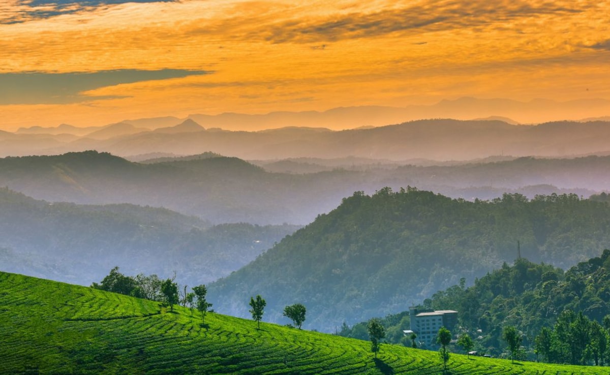 Latest and Breaking News on NDTV Latest and Breaking News on NDTV