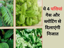 ये 4 जादुई पत्ते आपके पेट की कर देंगी सफाई, गैस और कब्ज हो जाएगी चुटकियों में छूमंतर...
