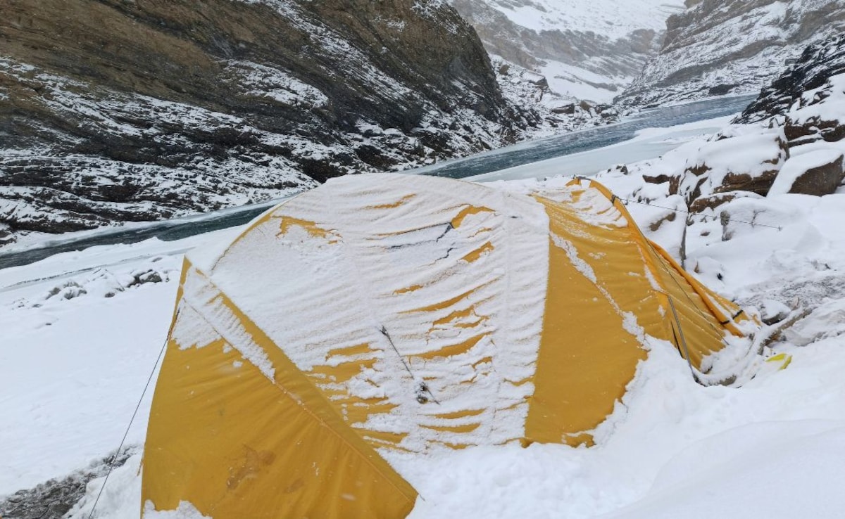 Latest and Breaking News on NDTV Latest and Breaking News on NDTV