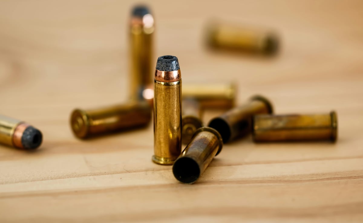 US Man Hospitalised After Pet Dog Accidentally Sets Off Shotgun