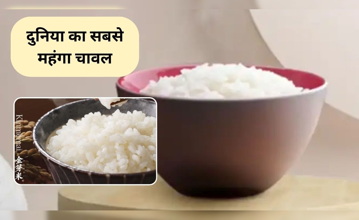 इस देश में उगाया जाता है दुनिया का सबसे महंगा चावल, कीमत 12,500 रुपये प्रति किलोग्राम, जानिए क्या है खासियत