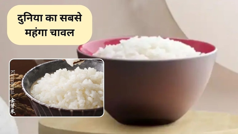 इस देश में उगाया जाता है दुनिया का सबसे महंगा चावल, कीमत 12,500 रुपये प्रति किलोग्राम, जानिए क्या है खासियत