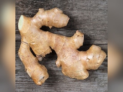 अदरक खाने के फायदे-नुकसान, किन लोगों को खानी चाहिए अदरक, किन लोगों को पहुंचाती है नुकसान Recipe