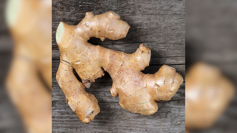 अदरक खाने के फायदे-नुकसान, किन लोगों को खानी चाहिए अदरक, किन लोगों को पहुंचाती है नुकसान अदरक खाने के फायदे-नुकसान, किन लोगों को खानी चाहिए अदरक, किन लोगों को पहुंचाती है नुकसान