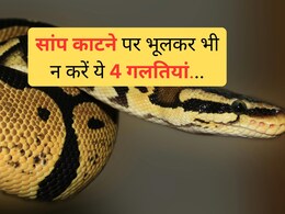 Snake bite First aid : सांप काट ले तो सबसे पहले क्या करें? जानिए यहां सरल उपाय
