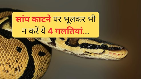 Snake bite first aid : सांप काट ले तो सबसे पहले क्या करें? जानिए यहां सरल उपाय