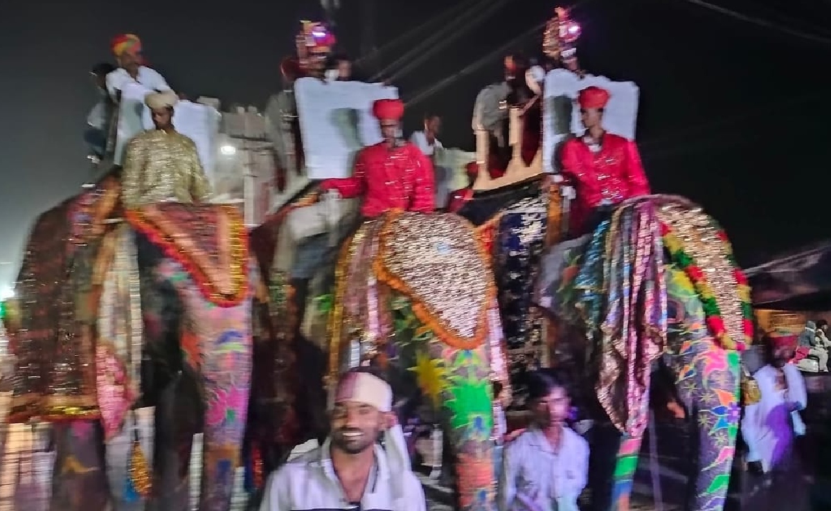 जोधपुर में दलित दूल्हों की शाही बंदोली देखने के लिए सड़क पर उतरा शहर, दुल्हनें इतनी पढ़ी-लिखीं