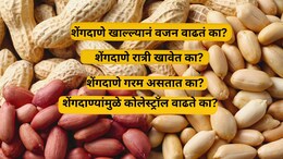 Healthy Diet: एका दिवसात किती शेंगदाणे खावे? कुणी अजिबात खाऊ नये? फायदे, तोटे आणि 17 प्रश्नांची उत्तरं (FAQ)