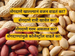 Healthy Diet: एका दिवसात किती शेंगदाणे खावे? कुणी अजिबात खाऊ नये? फायदे, तोटे आणि 17 प्रश्नांची उत्तरं (FAQ)