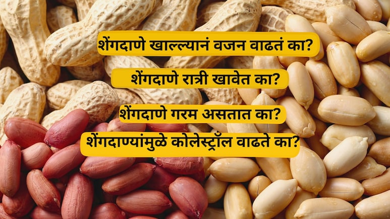 Healthy Diet: एका दिवसात किती शेंगदाणे खावे? कुणी अजिबात खाऊ नये? फायदे, तोटे आणि 17 प्रश्नांची उत्तरं (FAQ)