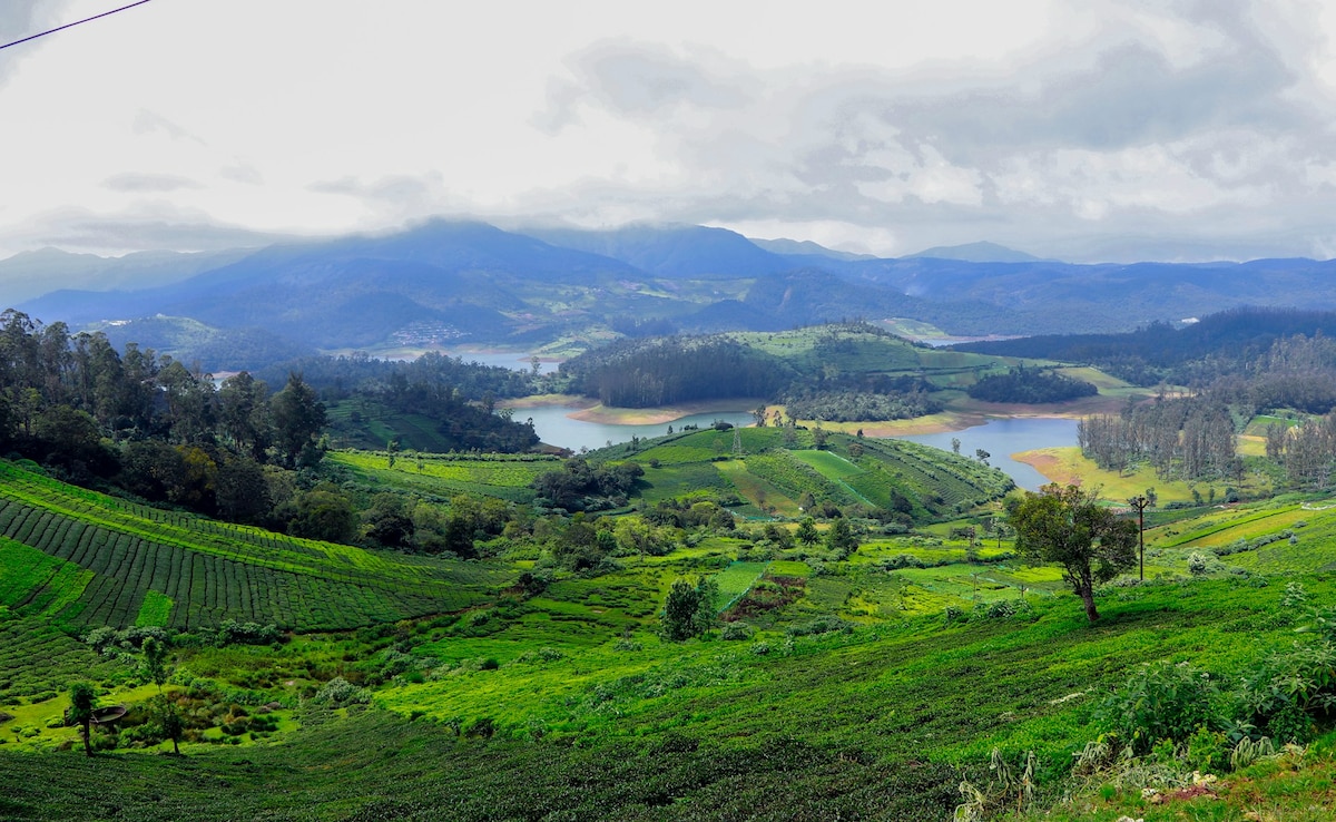 Latest and Breaking News on NDTV