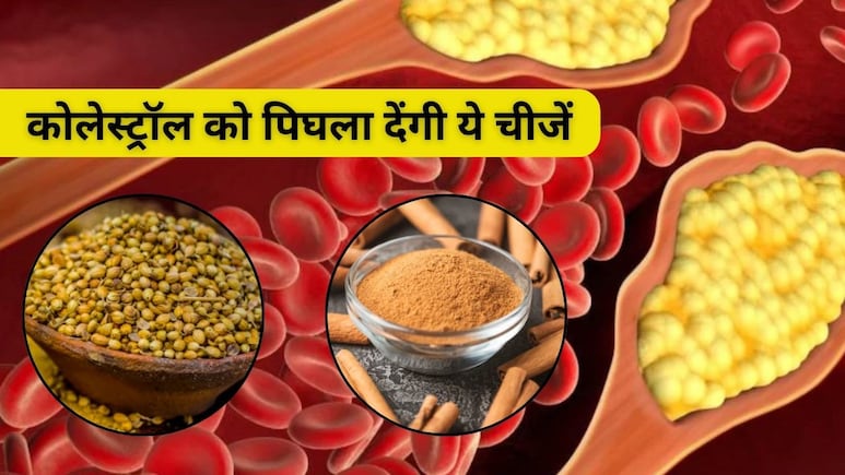 सिर्फ जीरा और मेथी दाना ही नहीं कोलेस्ट्रॉल को मोम की तरह पिघलाने में मदद करती हैं किचन में रखीं ये चीजें