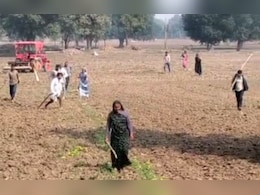 जमीनी विवाद में भिड़े दो पक्ष, 24 से ज्यादा लोग घायल; लाठी-डंडों और कुल्हाड़ी से किया हमला 