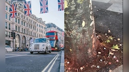 London Streets Painted Red By <i>Paan</i>, UK Council Battles Rs 35 Lakh Spit Crisis