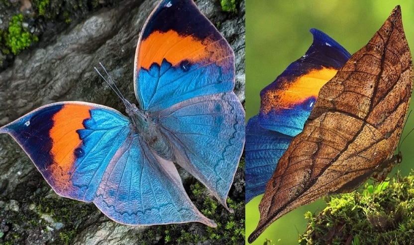 Latest and Breaking News on NDTV Latest and Breaking News on NDTV