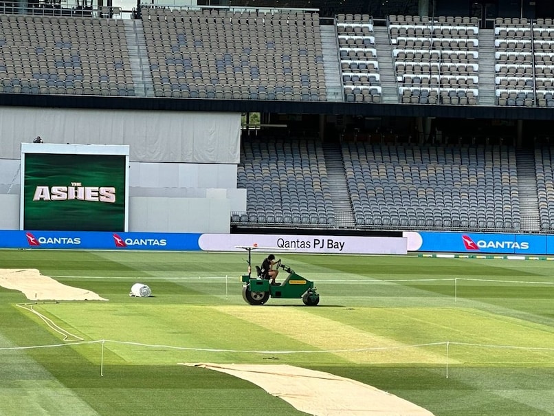 "Not Going To Change Any Time Soon": WA Cricket Curator Isaac McDonald On Perth Pitch Ahead Of Ashes Opener