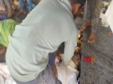 Video: Devotees Rush To Give CPR As Several Faint In Andhra Temple Stampede Video: Devotees Rush To Give CPR As Several Faint In Andhra Temple Stampede