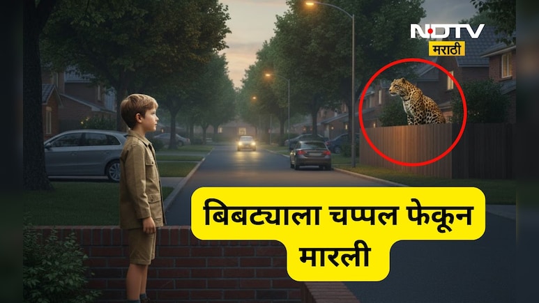 Nagpur News: बिबट्यावर चिमुकल्याने थेट चप्पल फेकून मारली, त्यानंतर पुढील 4 तास अंगावर काटा आणणारा थरार