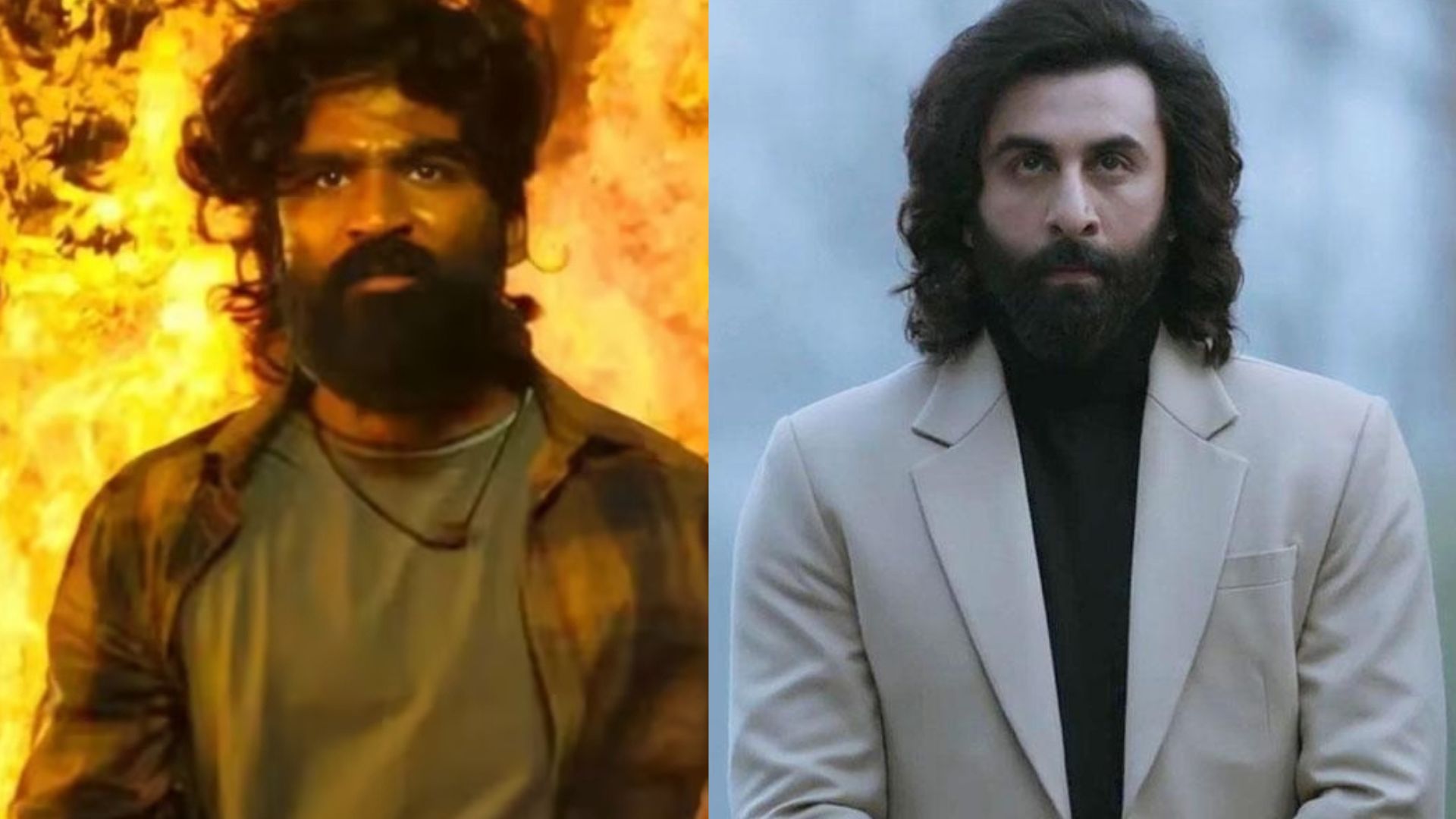 <i>Tere Ishk Mein</i> Director Aanand L Rai On Dhanush's Film Being Compared To Ranbir Kapoor's <i>Animal</i>: "There Are Similarities"