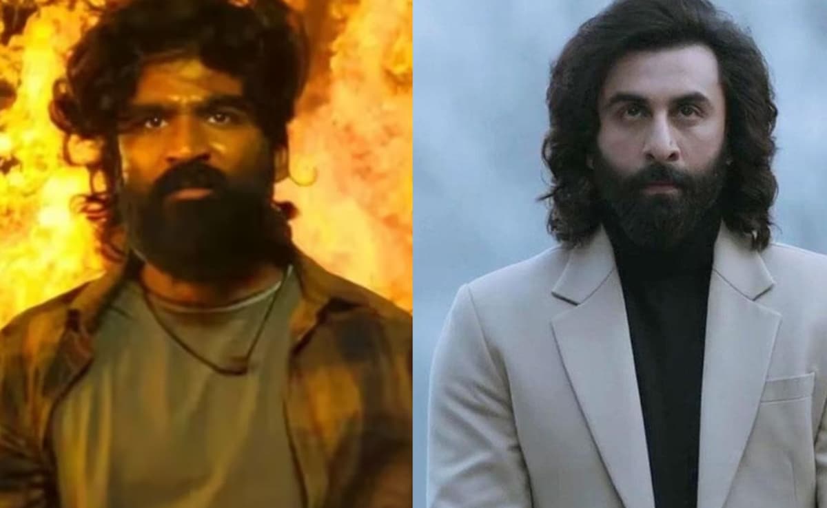 Tere Ishk Mein Director Aanand L Rai On Dhanush's Film Being Compared To Ranbir Kapoor's Animal: "There Are Similarities"