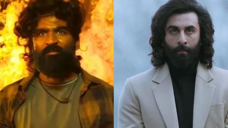 <i>Tere Ishk Mein</i> Director Aanand L Rai On Dhanush's Film Being Compared To Ranbir Kapoor's <i>Animal</i>: "There Are Similarities"