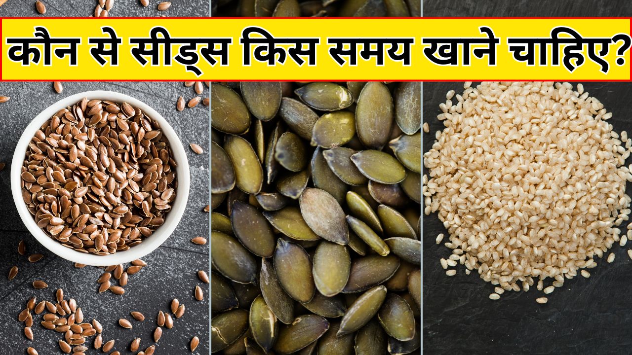 तिल, कद्दू के बीज, अलसी के बीज...कौन से Seeds को किस समय खाना चाहिए? न्यूट्रिशनिस्ट ने बताया कब मिलेगा फायदा