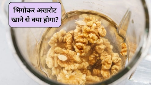 Walnut Benefits: अखरोट को रात भर भिगोकर सुबह खाएं तो क्या होगा? शरीर को मिलेंगे ये 5 फायदे