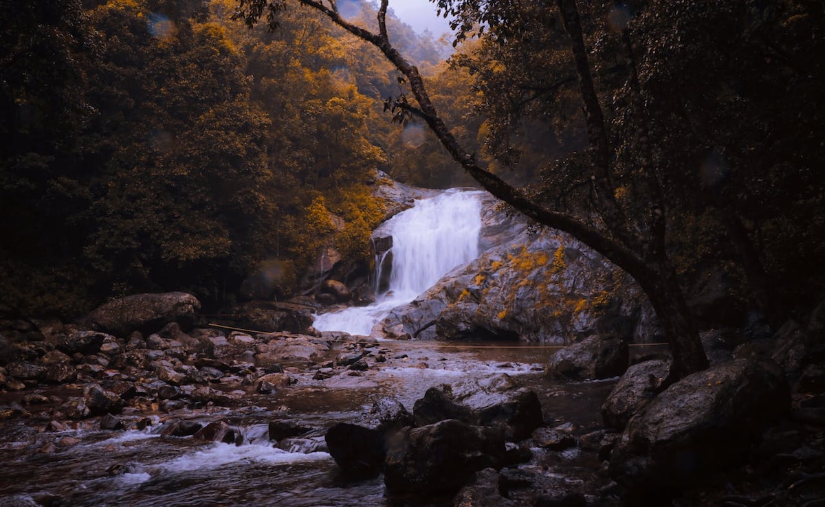 Latest and Breaking News on NDTV