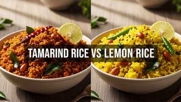 Tamarind Rice vs Lemon Rice: What Makes These Two South Indian Favourites So Different
