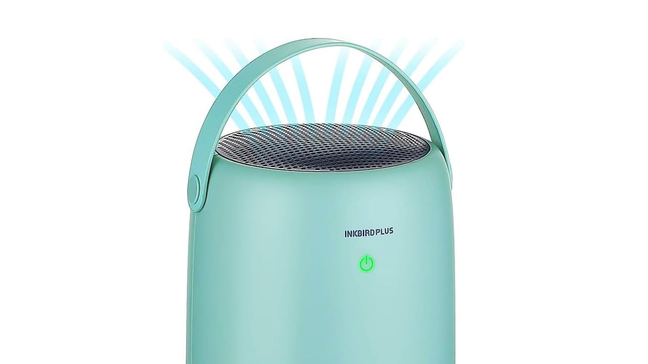 How To Use A Dehumidifier For Monsoon Homes That Prevents Mould Growth