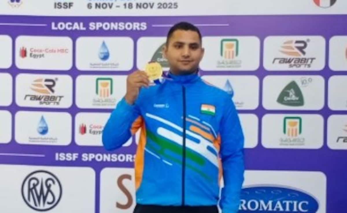 "Blessed With Baby Girl, Did Not Practice": Indian Shooter, Who Won Gold In ISSF World Championships
