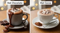 Hot Cocoa vs Hot Chocolate: Taste, Recipe, More Differences Explained
