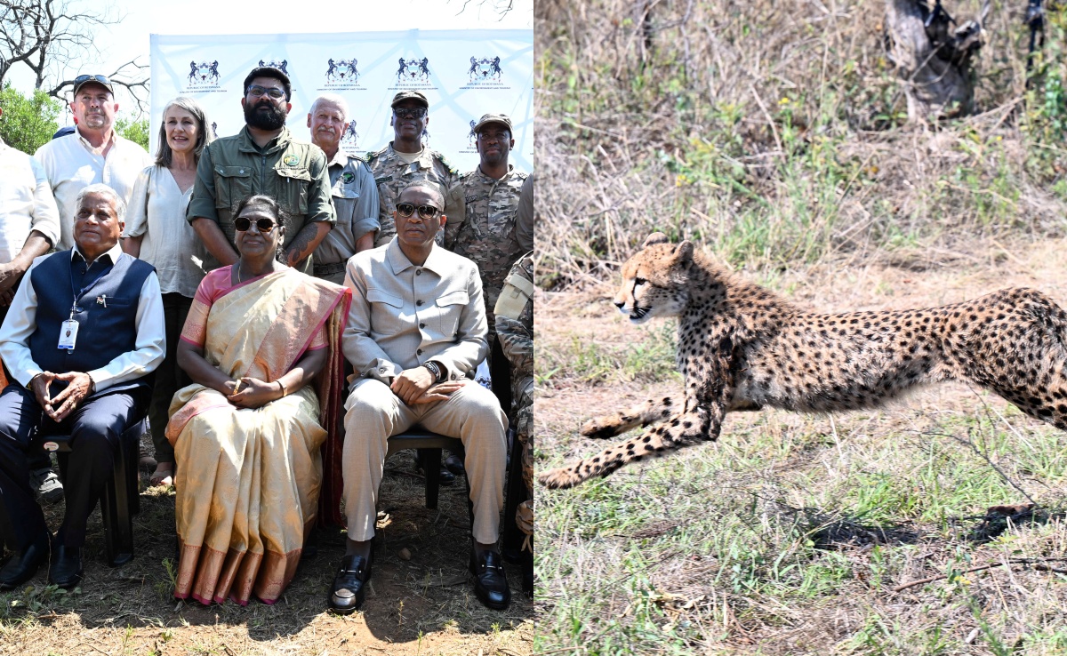 बोत्सवाना से मिला भारत को तोहफा, राष्ट्रपति मुर्मू के दौरे पर भारत को भेंट किए 8 चीते