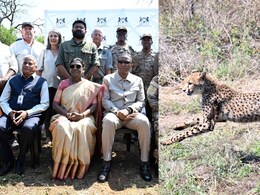 बोत्सवाना से मिला भारत को तोहफा, राष्ट्रपति मुर्मू के दौरे पर भारत को भेंट किए 8 चीते