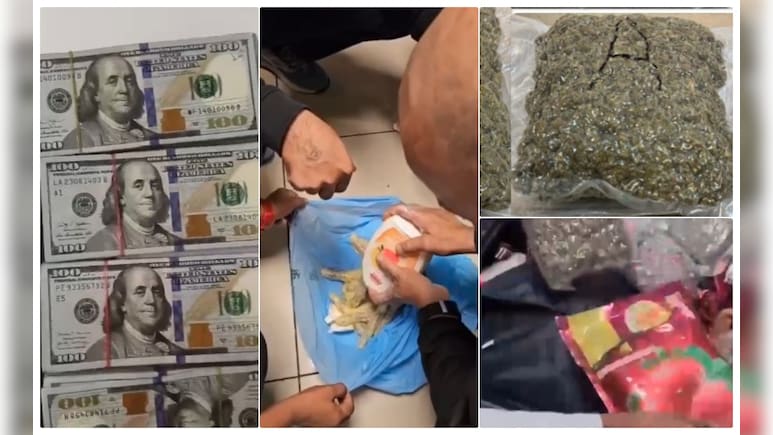 13 किलो से ज्यादा नशा, 87 लाख की विदेशी करेंसी... मुंबई एयरपोर्ट पर 4 दिन में 5 बड़े एक्शन