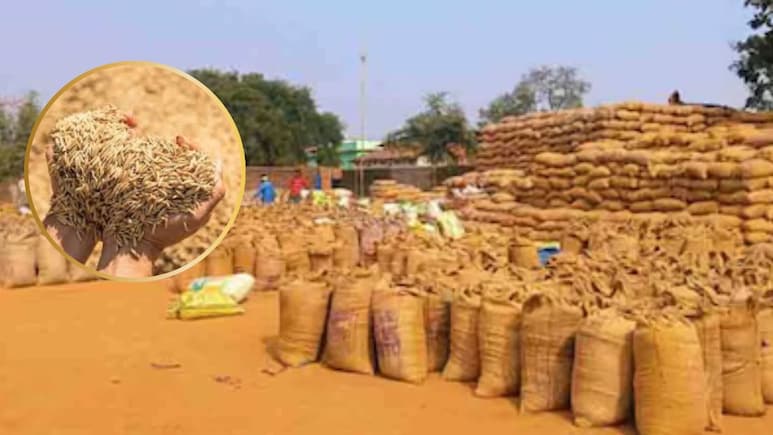Dhan Kharidi 2025: MP में इस दिन से शुरू होगी धान, ज्वार और बाजरा की खरीदी, किसानों को मिलेगा उपज का इतना दाम