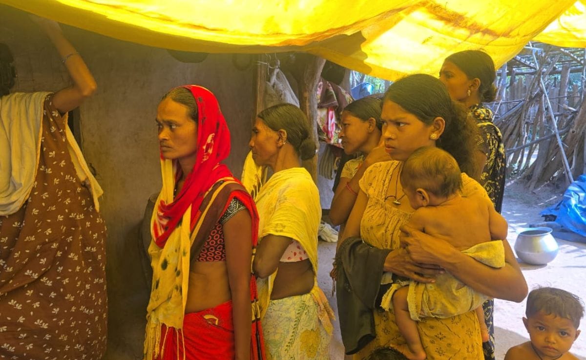 Latest and Breaking News on NDTV Latest and Breaking News on NDTV