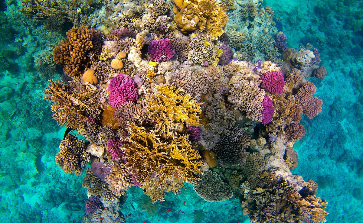 Latest and Breaking News on NDTV Latest and Breaking News on NDTV