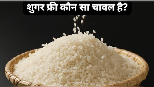 शुगर फ्री कौन सा चावल है?