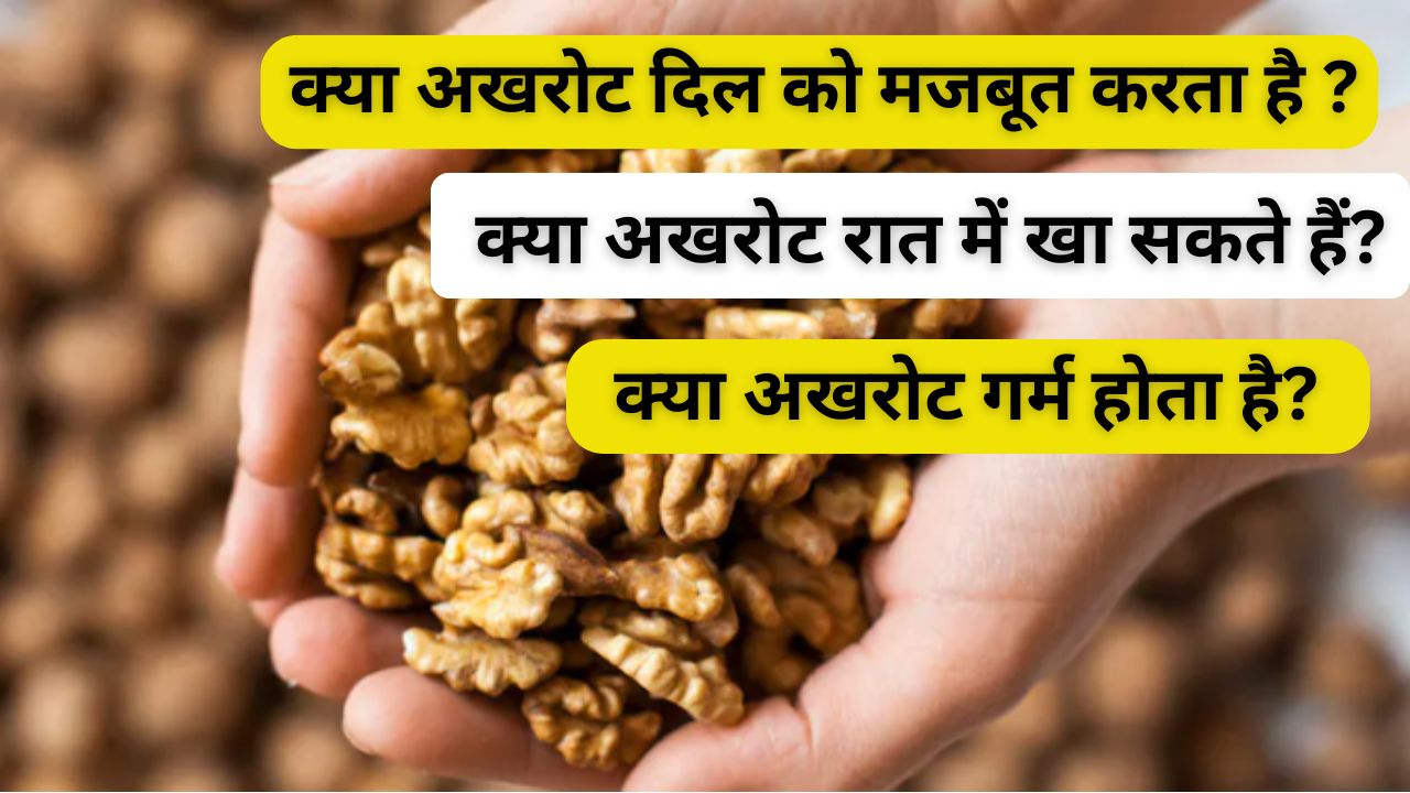 अखरोट खाने से कौन-सी बीमारी ठीक होती है? काजू-बादाम से कितना ताकतवर? खाने का सही समय और मात्रा