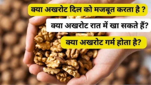 अखरोट खाने से कौन-सी बीमारी ठीक होती है? काजू-बादाम से कितना ताकतवर? खाने का सही समय और मात्रा