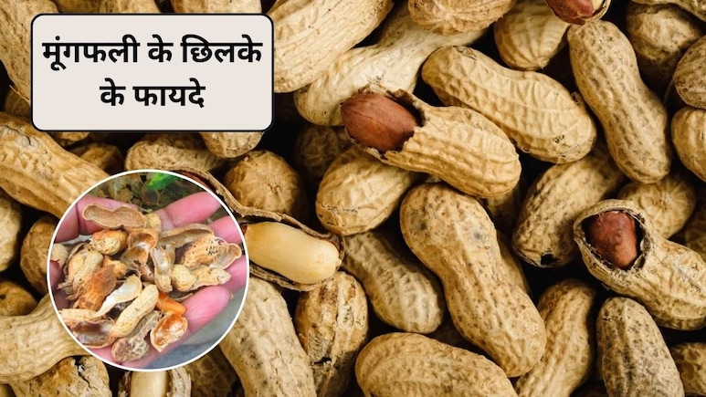 मूंगफली के छिलके फेंकोगे तो पछताओगे, शरीर के लिए लाजवाब, एक्सपर्ट से जानिए मूंगफली गर्म होती है या ठंडी