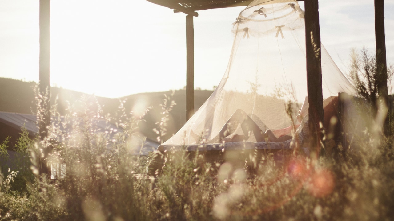 Sleep Bite-Free: Mosquito Net Deals To Grab This Amazon Black Friday Sleep Bite-Free: Mosquito Net Deals To Grab This Amazon Black Friday