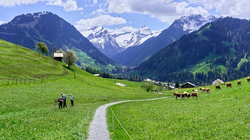 Heading To Switzerland? 7 Amazing Things To Do And See For An Unforgettable Holiday
