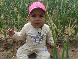 अलवर: मां ने की अपनी दूधमुंही बच्ची की हत्या, 2 दिन पहले भैंसों के चारे में मिलाया था जहर