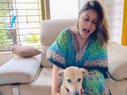 सुप्रीम कोर्ट के आवारा कुत्तों वाले फैसले पर बोलीं उर्वशी ढोलकिया, ट्रोलर्स को दिया करारा जवाब