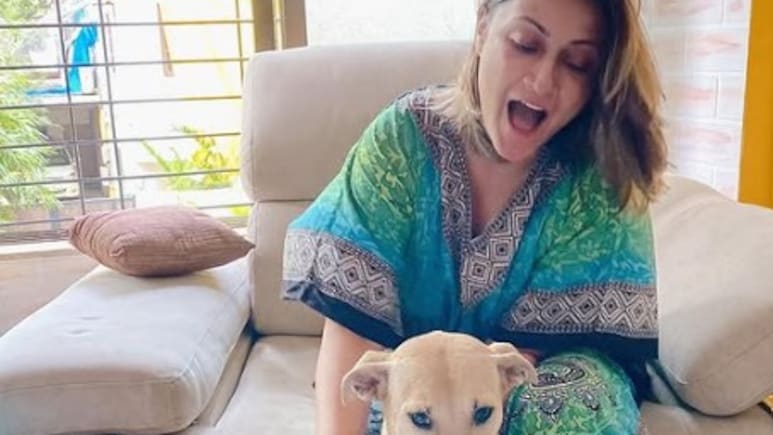 सुप्रीम कोर्ट के आवारा कुत्तों वाले फैसले पर बोलीं उर्वशी ढोलकिया, ट्रोलर्स को दिया करारा जवाब